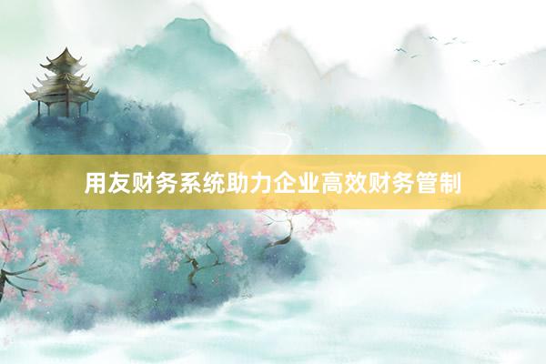 用友财务系统助力企业高效财务管制